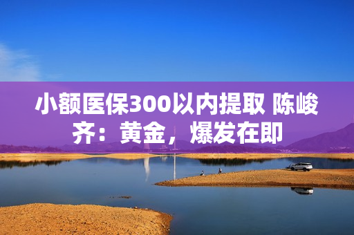 小额医保300以内提取 陈峻齐：黄金，爆发在即